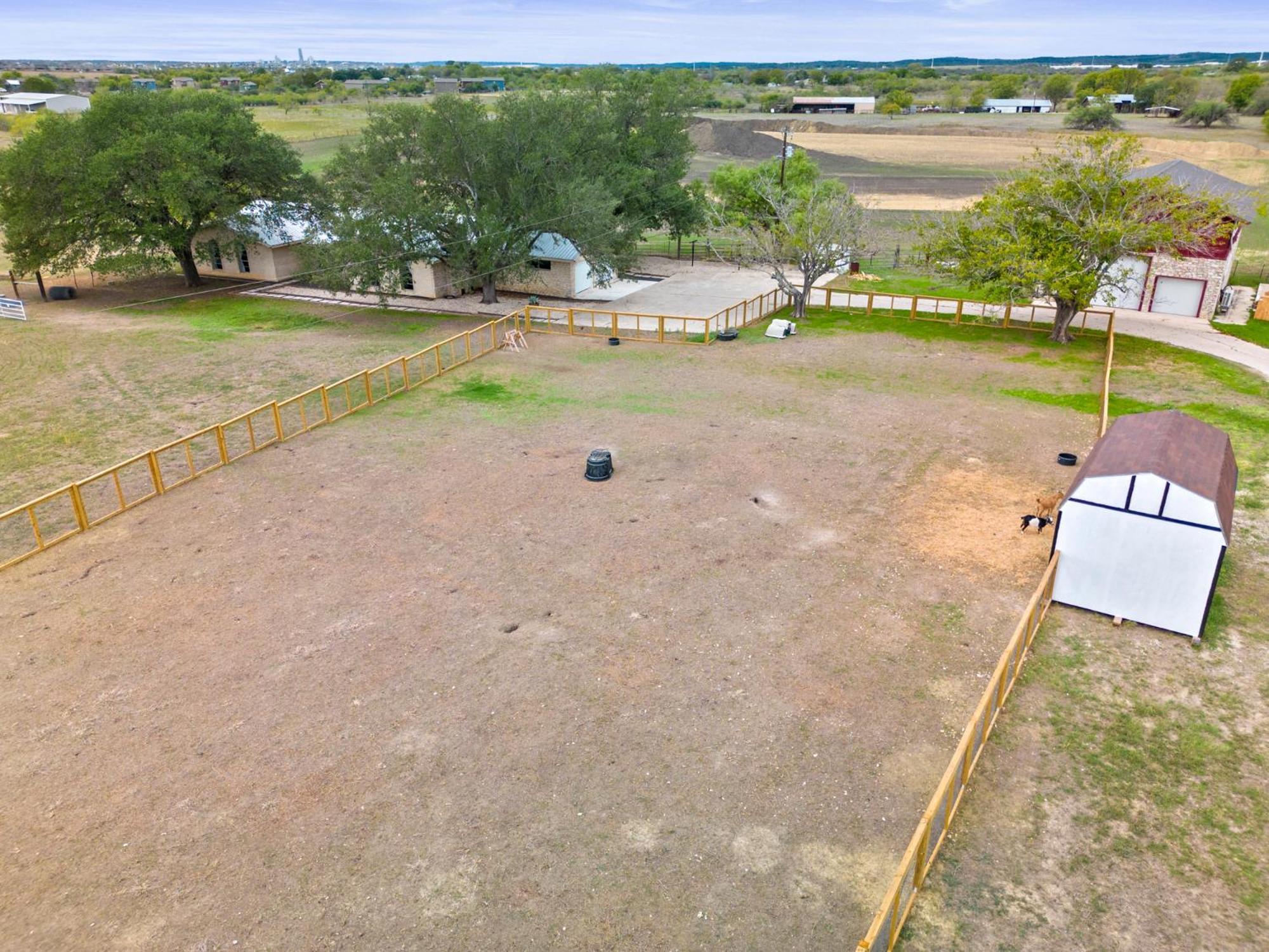 Farm Retreat With Jacuzzi, Fire Pit, Mini Goats, Mini Ponies And Mini Cows Villa San Marcos Kamer foto